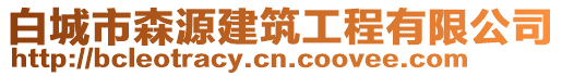 白城市森源建筑工程有限公司