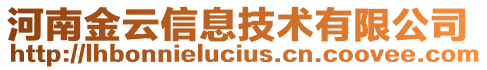 河南金云信息技術(shù)有限公司