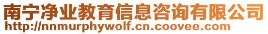 南寧凈業(yè)教育信息咨詢有限公司