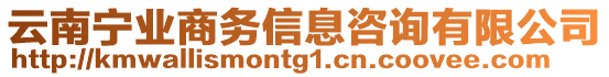 云南寧業(yè)商務(wù)信息咨詢有限公司