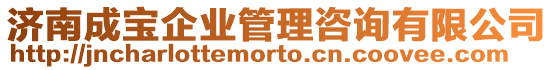 濟(jì)南成寶企業(yè)管理咨詢有限公司