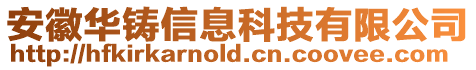 安徽華鑄信息科技有限公司