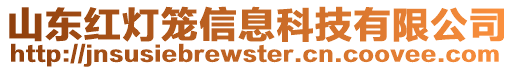 山東紅燈籠信息科技有限公司