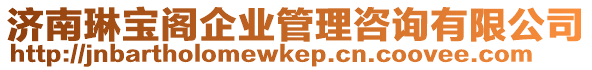 濟(jì)南琳寶閣企業(yè)管理咨詢有限公司