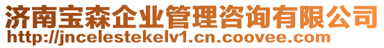 濟(jì)南寶森企業(yè)管理咨詢有限公司