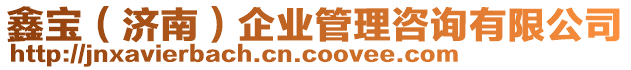 鑫寶(濟(jì)南)企業(yè)管理咨詢有限公司