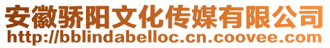 安徽驕陽文化傳媒有限公司
