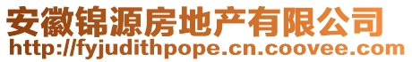 安徽錦源房地產有限公司