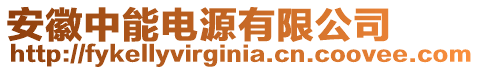 安徽中能電源有限公司
