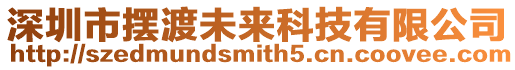 深圳市擺渡未來科技有限公司