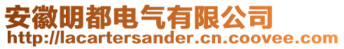 安徽明都電氣有限公司