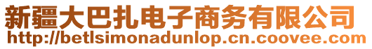 新疆大巴扎電子商務(wù)有限公司