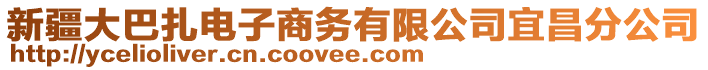 新疆大巴扎電子商務有限公司宜昌分公司