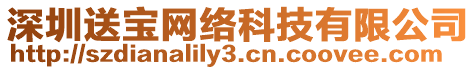 深圳送寶網(wǎng)絡(luò)科技有限公司