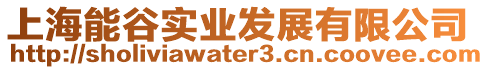 上海能谷實業發展有限公司