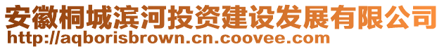 安徽桐城濱河投資建設發(fā)展有限公司