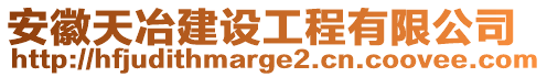 安徽天冶建設(shè)工程有限公司