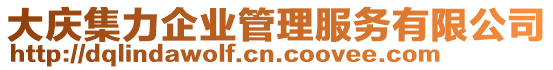 大慶集力企業(yè)管理服務(wù)有限公司