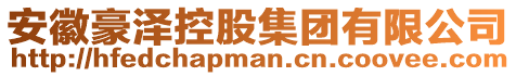 安徽豪澤控股集團有限公司