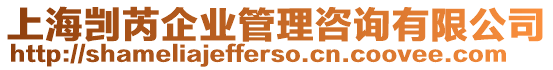 上海剴芮企業(yè)管理咨詢有限公司