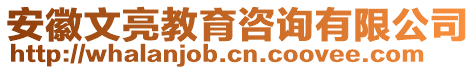 安徽文亮教育咨詢有限公司