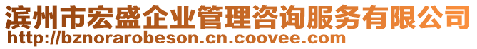 濱州市宏盛企業管理咨詢服務有限公司