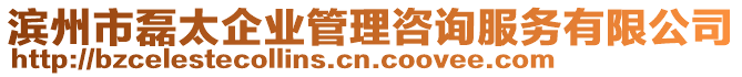 濱州市磊太企業(yè)管理咨詢服務有限公司
