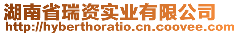 湖南省瑞資實(shí)業(yè)有限公司