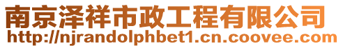 南京澤祥市政工程有限公司