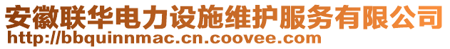 安徽聯華電力設施維護服務有限公司