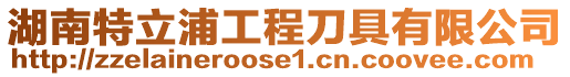 湖南特立浦工程刀具有限公司
