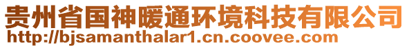 貴州省國神暖通環(huán)境科技有限公司