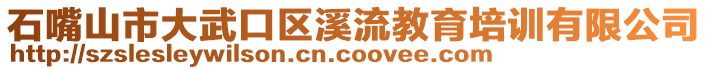 石嘴山市大武口區(qū)溪流教育培訓(xùn)有限公司