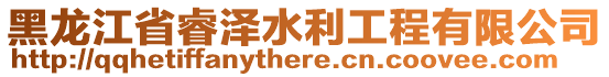 黑龍江省睿澤水利工程有限公司