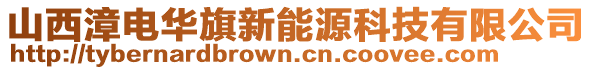 山西漳電華旗新能源科技有限公司