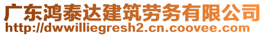 廣東鴻泰達(dá)建筑勞務(wù)有限公司