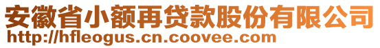 安徽省小額再貸款股份有限公司