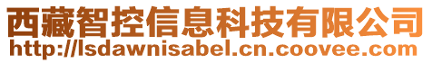 西藏智控信息科技有限公司