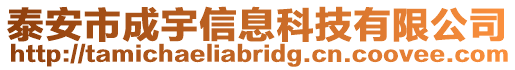泰安市成宇信息科技有限公司
