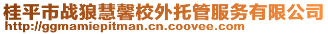 桂平市戰(zhàn)狼慧馨校外托管服務(wù)有限公司