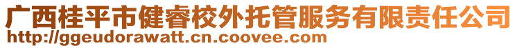 廣西桂平市健睿校外托管服務有限責任公司