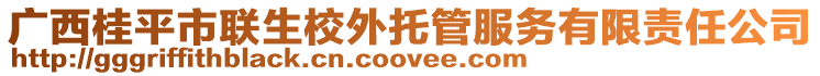 廣西桂平市聯生校外托管服務有限責任公司