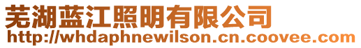 蕪湖藍江照明有限公司