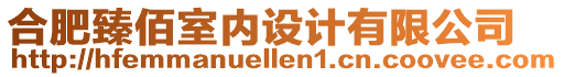 合肥臻佰室內(nèi)設(shè)計有限公司