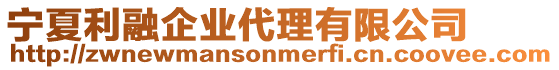 寧夏利融企業(yè)代理有限公司