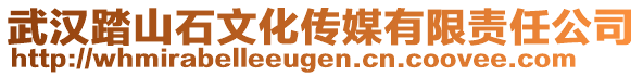 武汉踏山石文化传媒有限责任公司