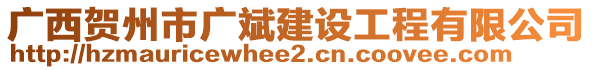 廣西賀州市廣斌建設(shè)工程有限公司