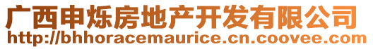 廣西申?duì)q房地產(chǎn)開(kāi)發(fā)有限公司