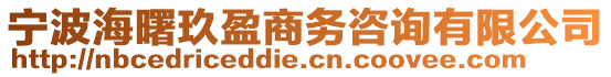 宁波海曙玖盈商务咨询有限公司