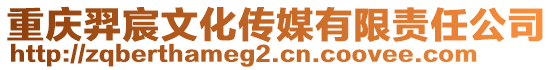 重慶羿宸文化傳媒有限責(zé)任公司